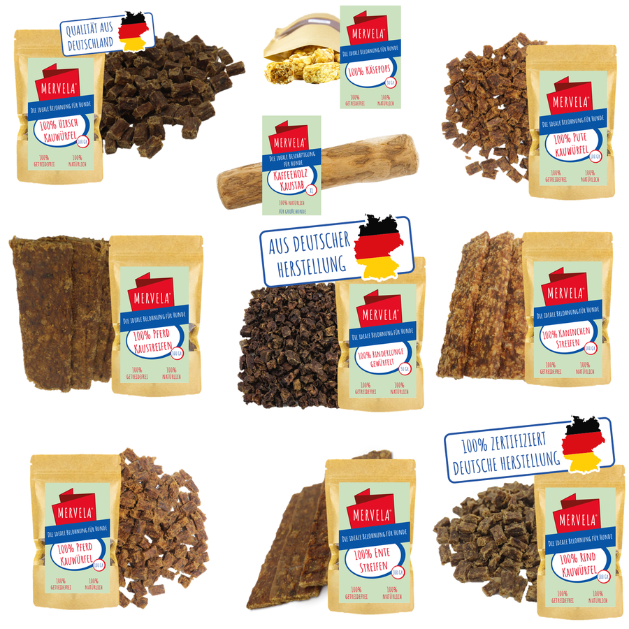 Geschenk- und Snackbox für große Hunde