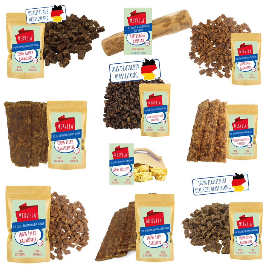 Geschenk- und Snackbox für mittlere Hunde