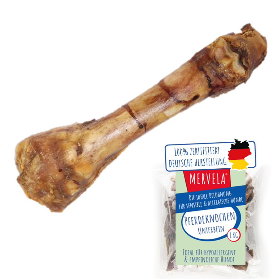 Knochen vom Pferd / Unterbein - 1 Stück