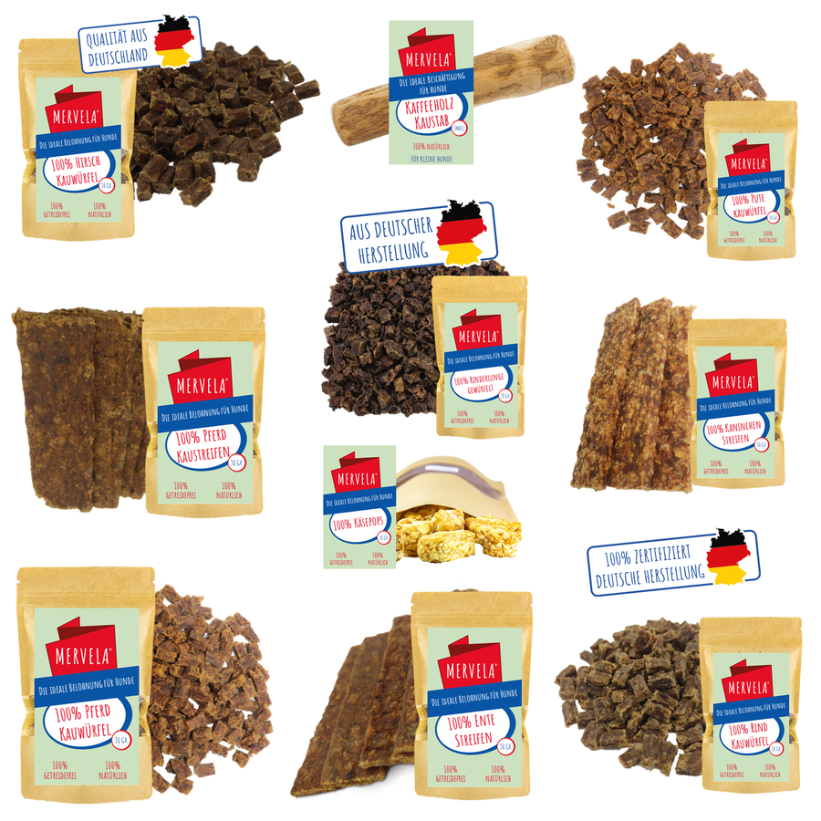Geschenk- und Snackbox für kleine Hunde