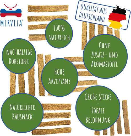 Ente Kausticks