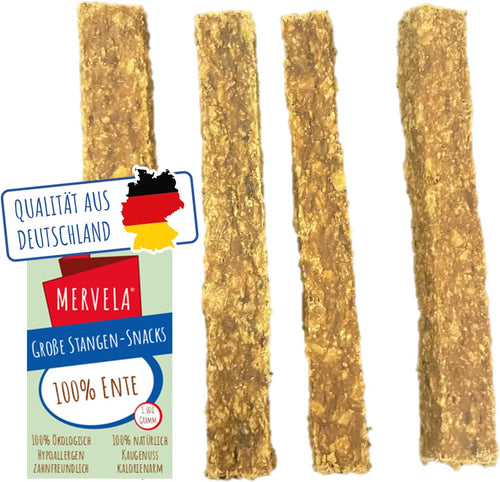 Ente Kausticks