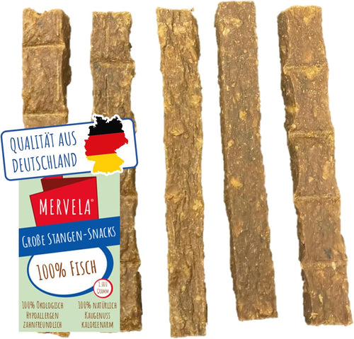 Fisch Kausticks